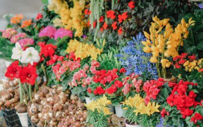 Cuartos Fríos para Floristerías en Climas Tropicales: Lo que Debes Saber