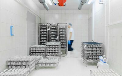 ¿Cómo Elegir el Cuarto Frío Perfecto para tu Negocio en El Salvador?